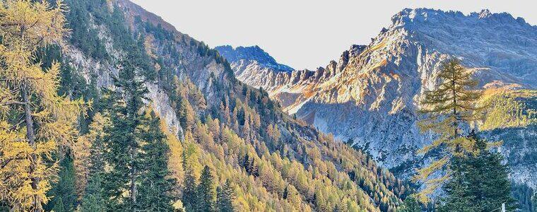 Titelbild der Unterseite Buchen und Verfügbarkeit