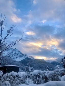 Blick aus dem Garten